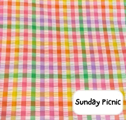 Sunday Picnic fabric detail